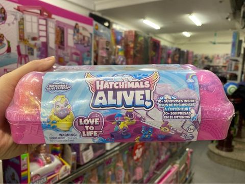  6067404 Hatchimals Alive Family Carton 