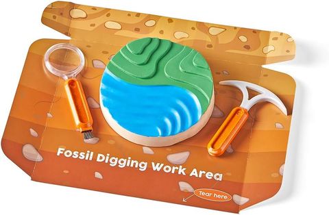  93418 Educational Insights Bộ thí nghiệm khoa học chủ đề đào hoá thạch - Science Lab Kit Dig Into Fossils 