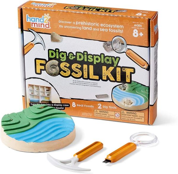 Learning Resources Dig & Display Fossil Kit for Kids 8-12, Kids Science Kit with Real Fossils & Fact-Filled Guide