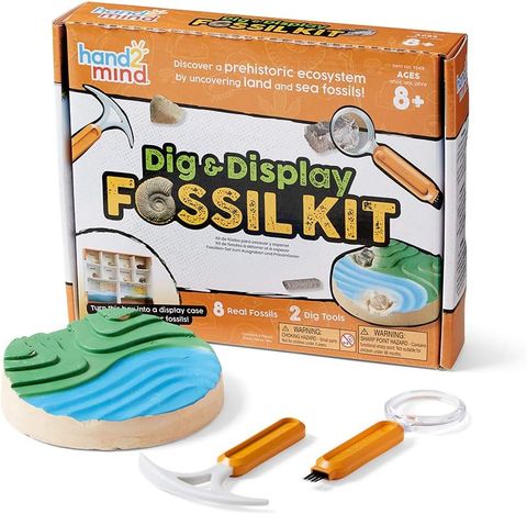 93418 Educational Insights Bộ thí nghiệm khoa học chủ đề đào hoá thạch - Science Lab Kit Dig Into Fossils 
