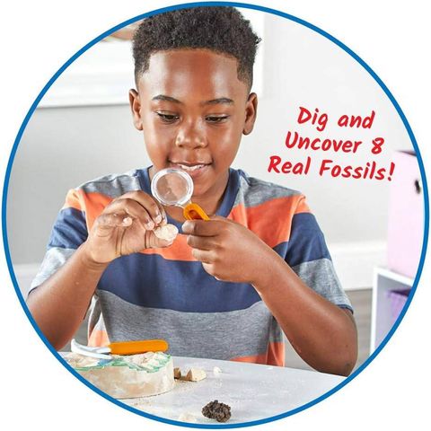  93418 Educational Insights Bộ thí nghiệm khoa học chủ đề đào hoá thạch - Science Lab Kit Dig Into Fossils 