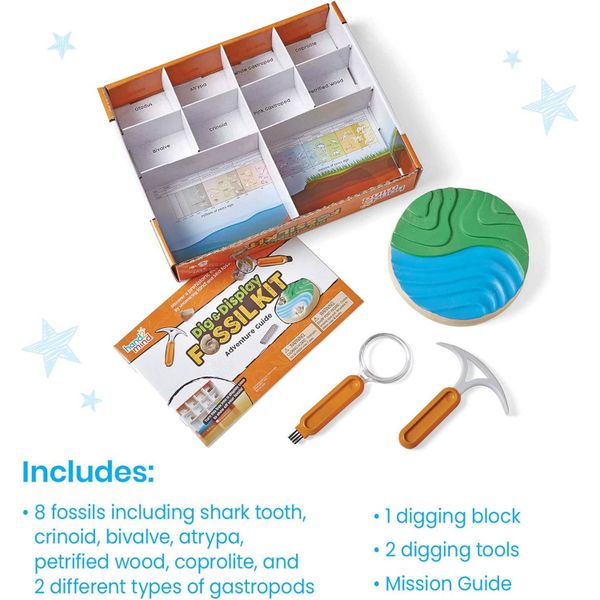 Learning Resources Dig & Display Fossil Kit for Kids 8-12, Kids Science Kit with Real Fossils & Fact-Filled Guide