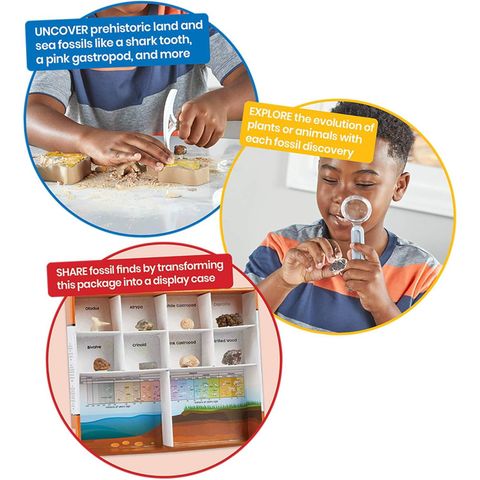  93418 Educational Insights Bộ thí nghiệm khoa học chủ đề đào hoá thạch - Science Lab Kit Dig Into Fossils 