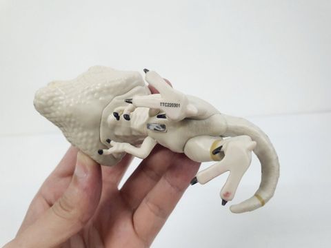  Khủng long POP figure Jurassic World 3 Atrociraptor Ghost 