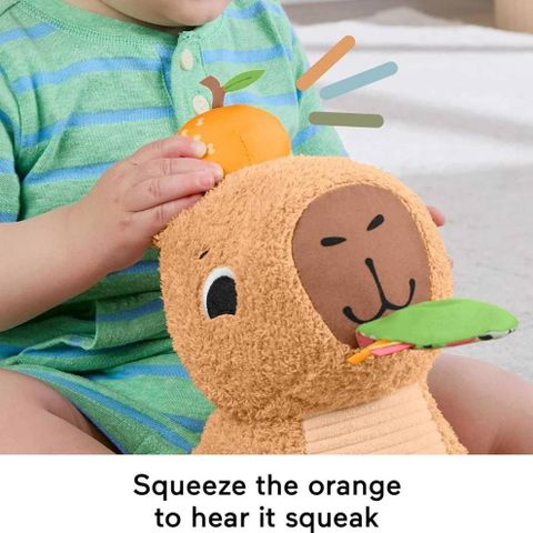  HYR54 Đồ Chơi Capybara Cho Bé FISHER PRICE 