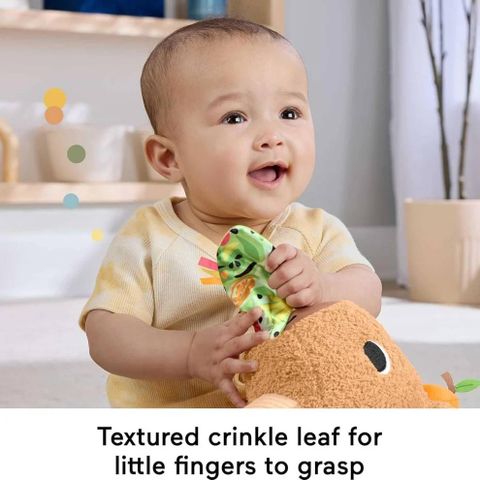  HYR54 Đồ Chơi Capybara Cho Bé FISHER PRICE 