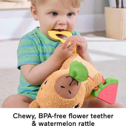  HYR54 Đồ Chơi Capybara Cho Bé FISHER PRICE 