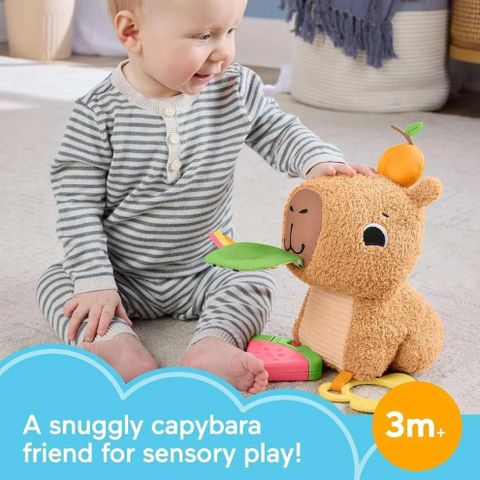  HYR54 Đồ Chơi Capybara Cho Bé FISHER PRICE 