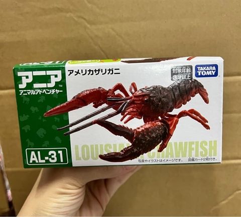  Tôm Hùm Đất Mỹ AL-31 American Crayfish 