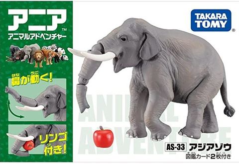  AS-33 Asian Elephant 