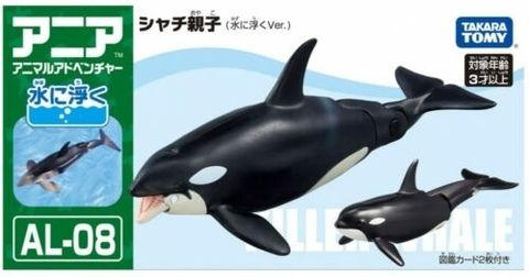  AL-08 Killer Whale 