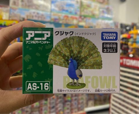  ANIA AS-16 Peacock 