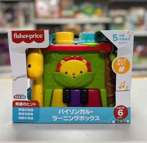  DNY97 Fisher-Price Bilingual Learning Box 