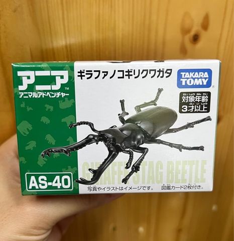  Mô hình Ania AS-40 Prosopocoilus Giraffa 