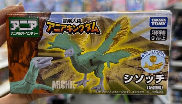  Ania Kingdom Shisocchi (Archaeopteryx) 