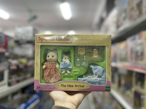  The New Arrival 