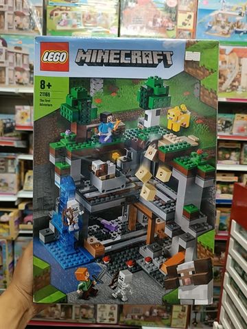  LEGO 21169 The First Adventure 