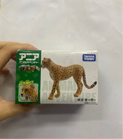 AS-13 Cheetah (Báo đốm) 