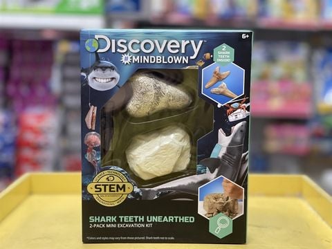  23win08 com Discovery khảo cổ truy tìm răng cá mập 2pc 