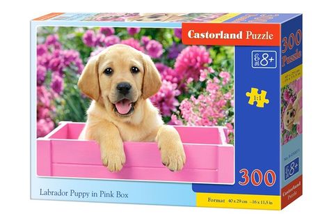 Xếp hình puzzle Labrador Puppy in Pink Box 300 mảnh CASTORLAND B-030071 