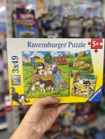  RV08002 1 23win08 com puzzle Cats & Dogs 3x49 mảnh ghép Ravensburger 