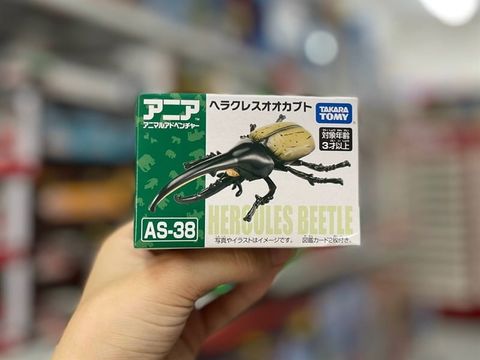  As-38 Hercules Beetle 