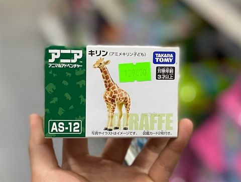  AS-12 Giraffe (Kid) 