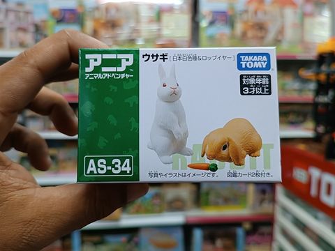  Mô hình Ania AS-34 Rabbit 