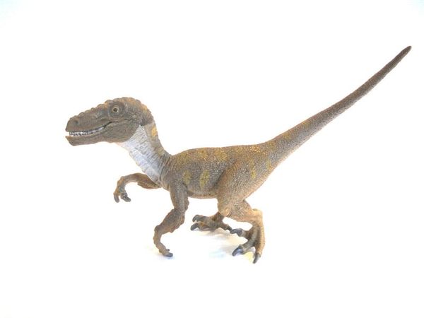  Khung long an thit Velociraptor - 14524 