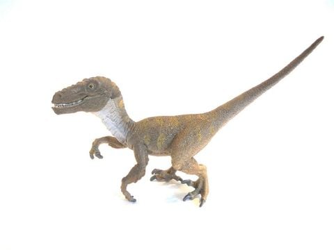  Khung long an thit Velociraptor - 14524 