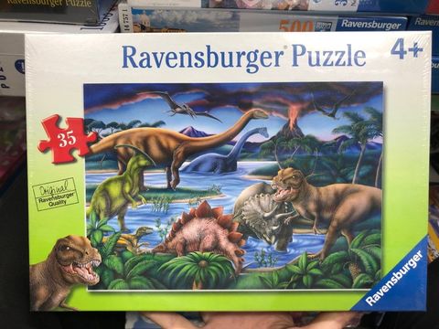  RV086139 Dinosaur Playground 35p 