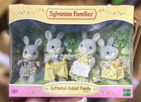  Cottontail Rabbit Family 