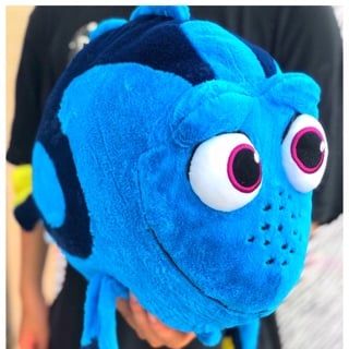  cá bông Dory 