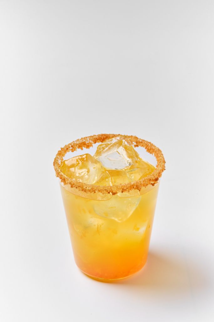  hola kocha / kombucha 