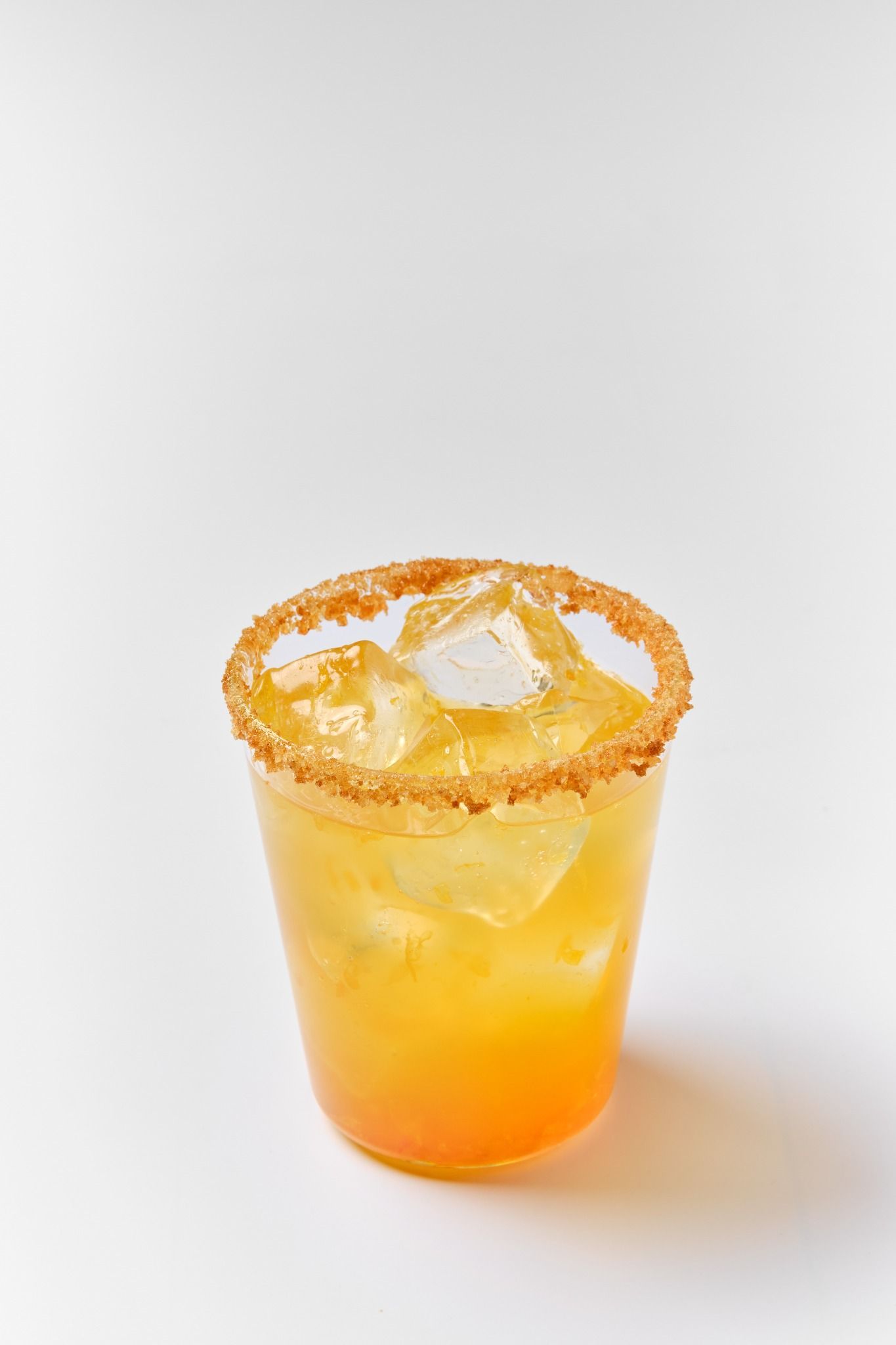  hola kocha / kombucha 