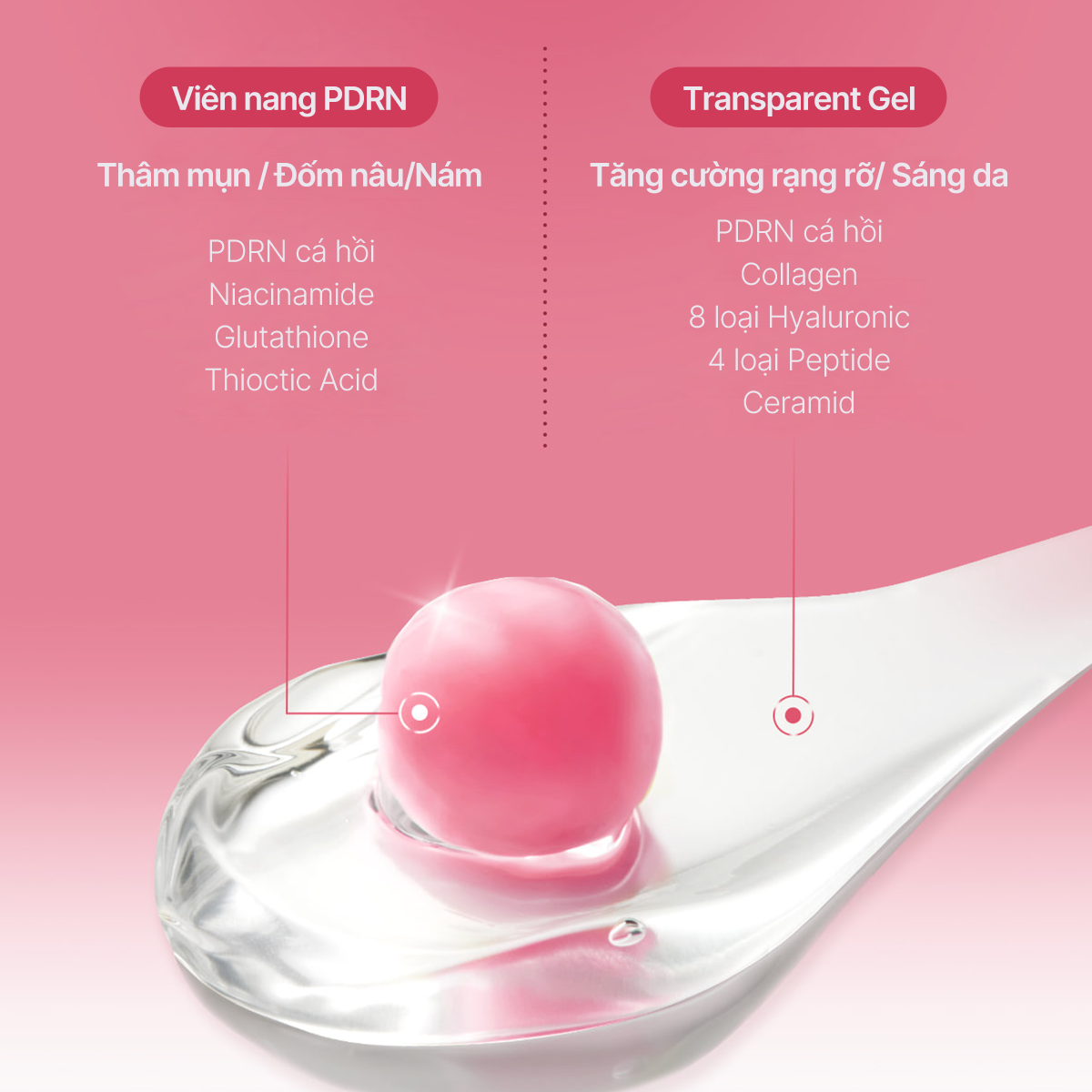  Kem dưỡng viên nang PDRN Pink Collagen Capsule Cream 55g 