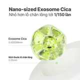  Toner Pad Exosome Cica Calming 100 miếng / 150ml 
