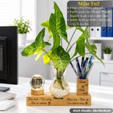  Kệ bút kèm lọ thủy tinh và quả cầu phale 
