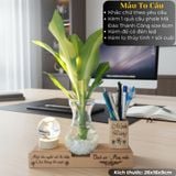  Kệ bút kèm lọ thủy tinh và quả cầu phale 