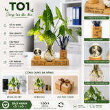  Kệ bút kèm lọ thủy tinh và quả cầu phale 