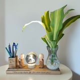  Kệ Bút kèm bình thủy tinh và cầu phale 