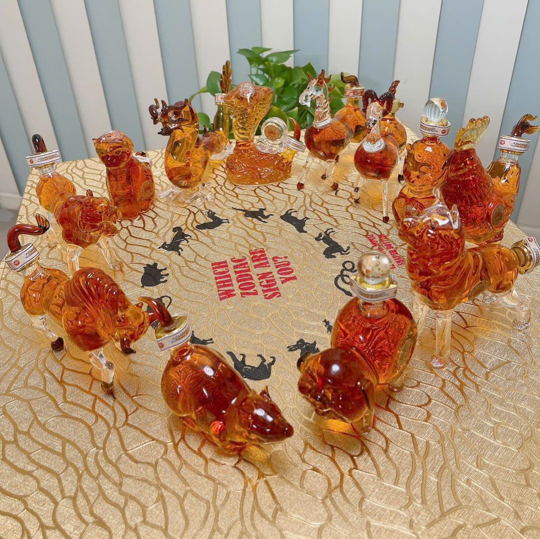  Rượu Mini 12 Con Giáp 