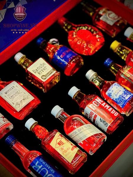  Set Rượu mini Brandy – Whisky – Vodka – Rum – Gin (Holiday Gift Set ) 
