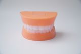  Mô hình hàm răng giả, đồ chơi hàm răng giả dạy bé tập đánh răng - Nhiều cỡ 