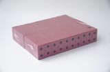  Đồ chơi xây dựng cho bé mầm non, túi gạch xây dựng, khối gạch đồ chơi cho bé- Bộ 20 viên gạch mini 