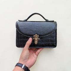 Túi xách khóa Nữ hoàng có dây đeo. Size 23*15*9cm vừa vặn!