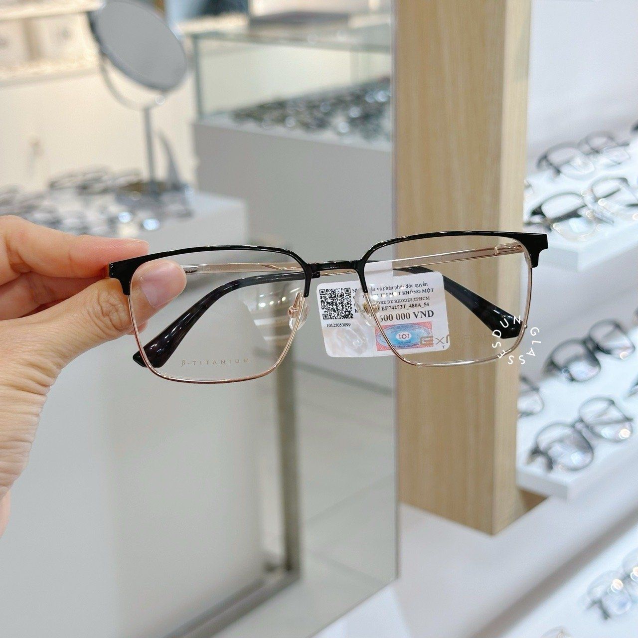  Mắt kính Exfash EF 74273 