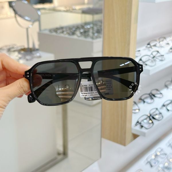  Kính mát Molsion MS 3019 