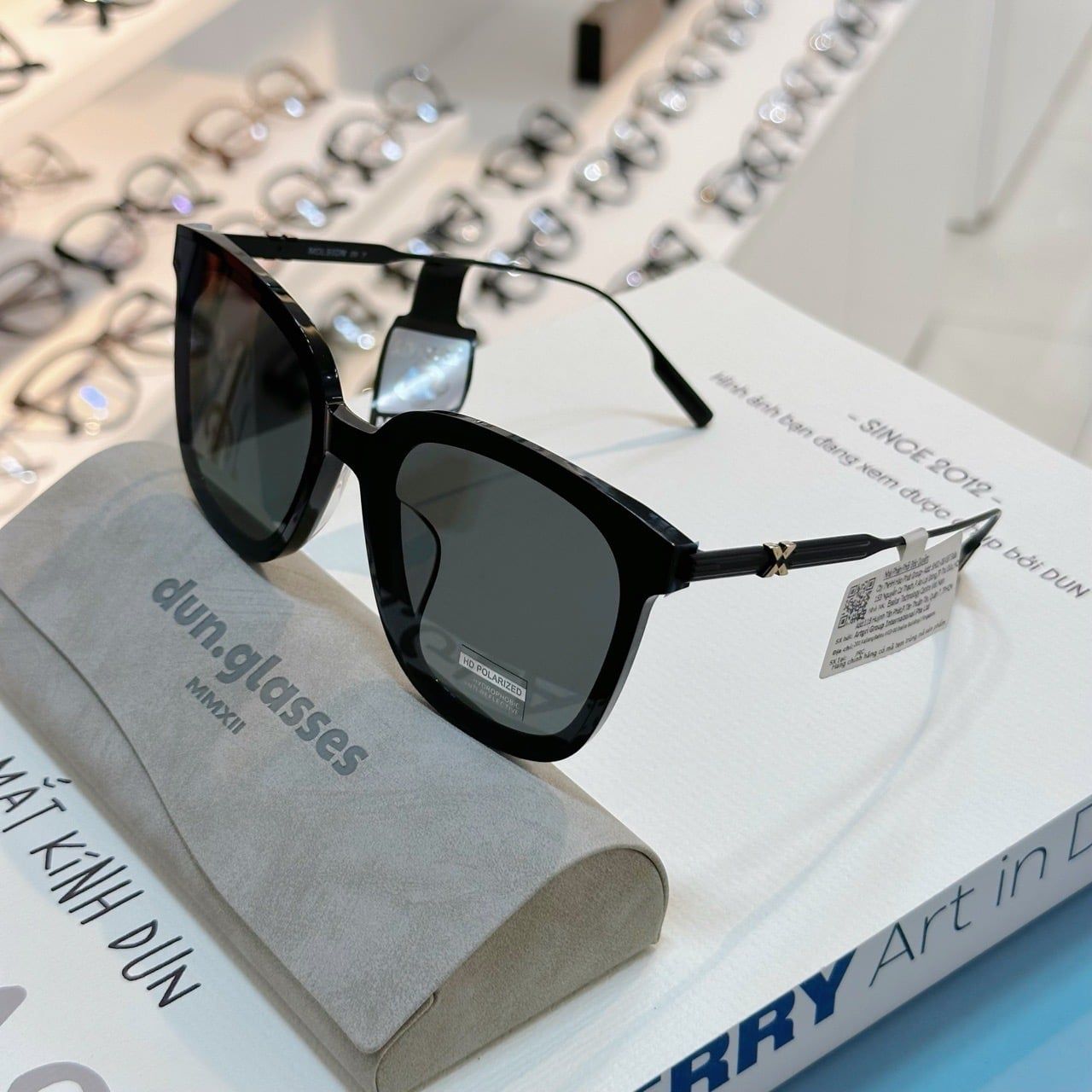  Kính mát Molsion MS3056 