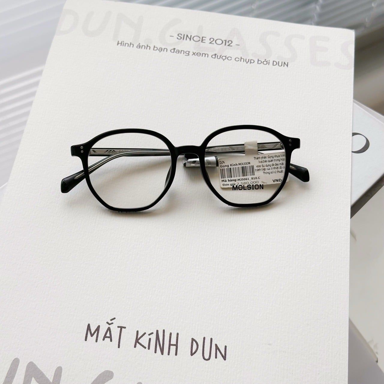  Mắt kính Molsion MJ5061 
